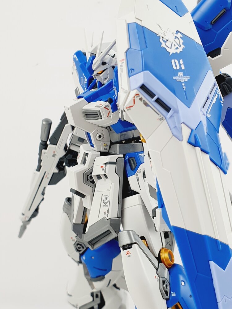 Delpi-Decal RG Hi NU