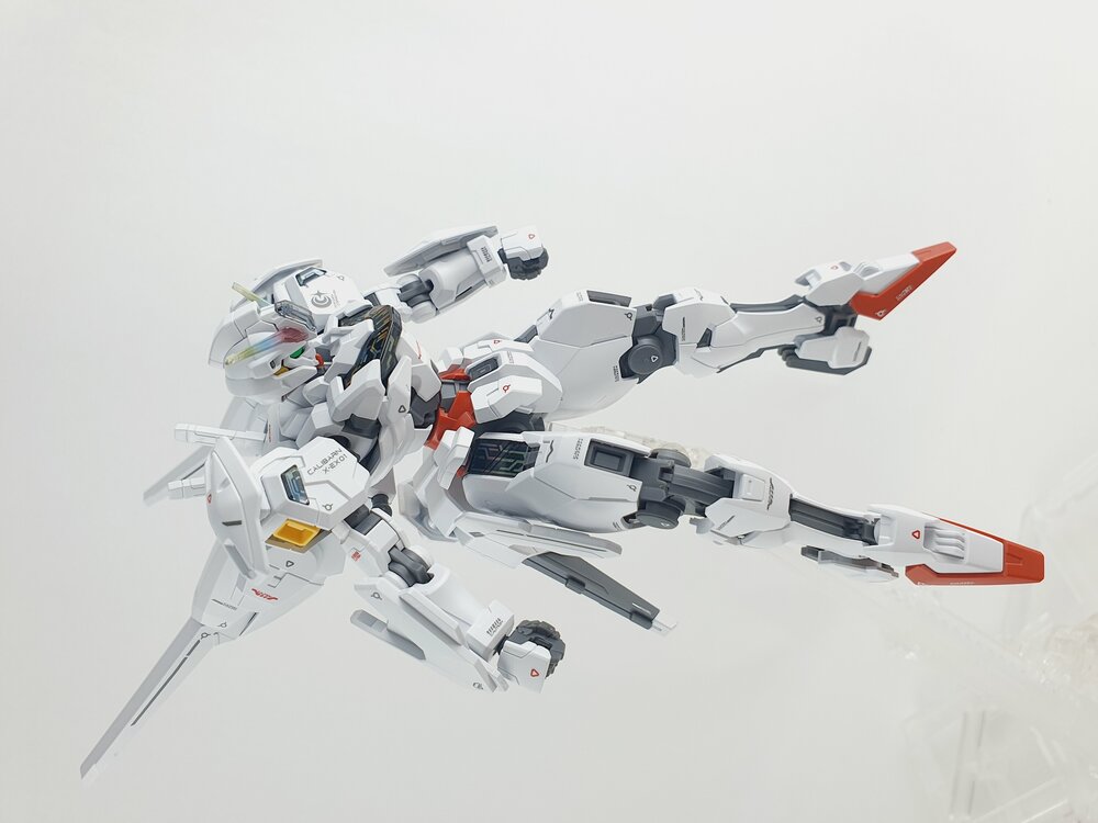 Delpi-Decal HG Calibarn Holo