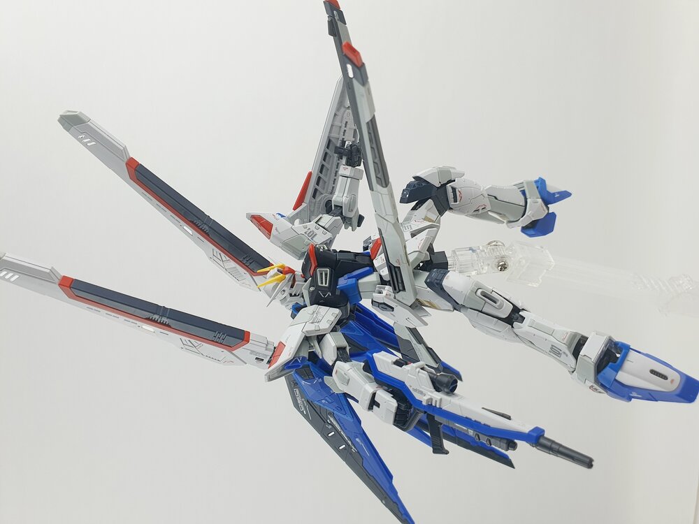 Delpi-Decal RG Freedom GCP Holo Polygonaal