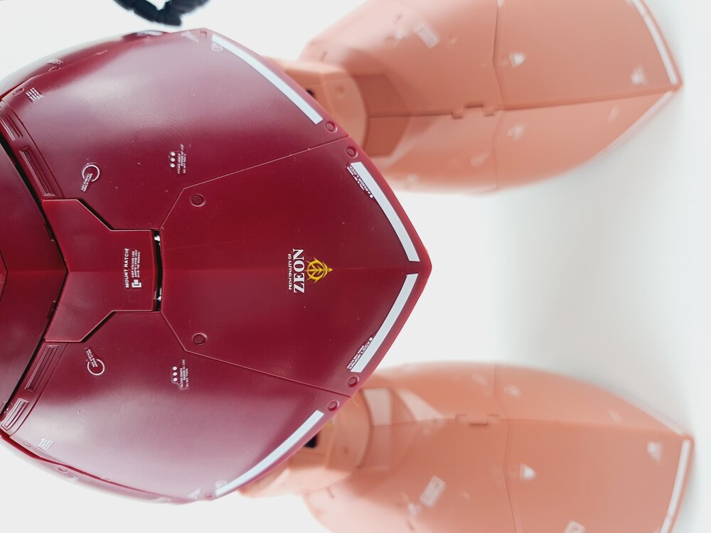 Delpi MG Gelgoog Custom