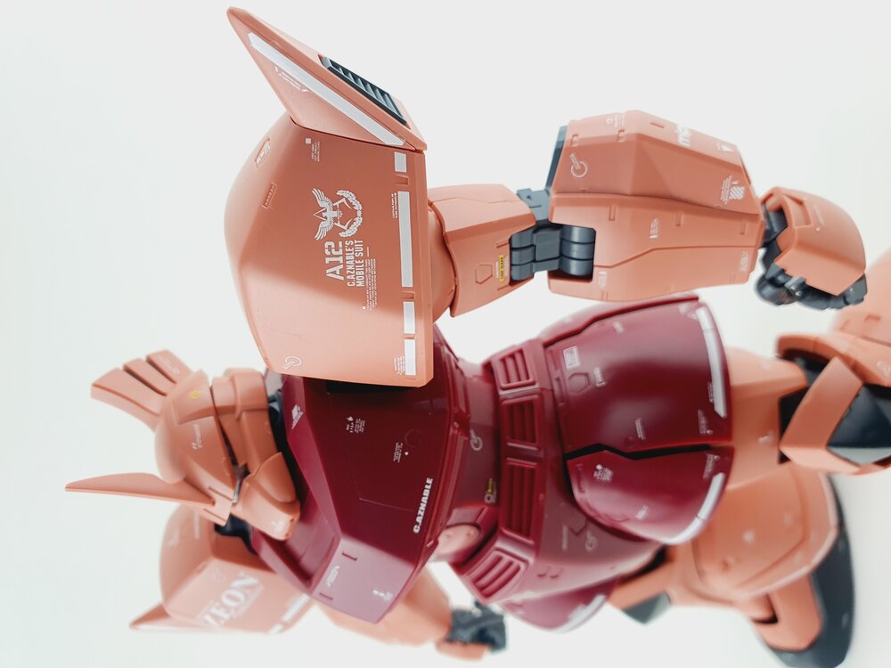 Delpi MG Gelgoog Custom