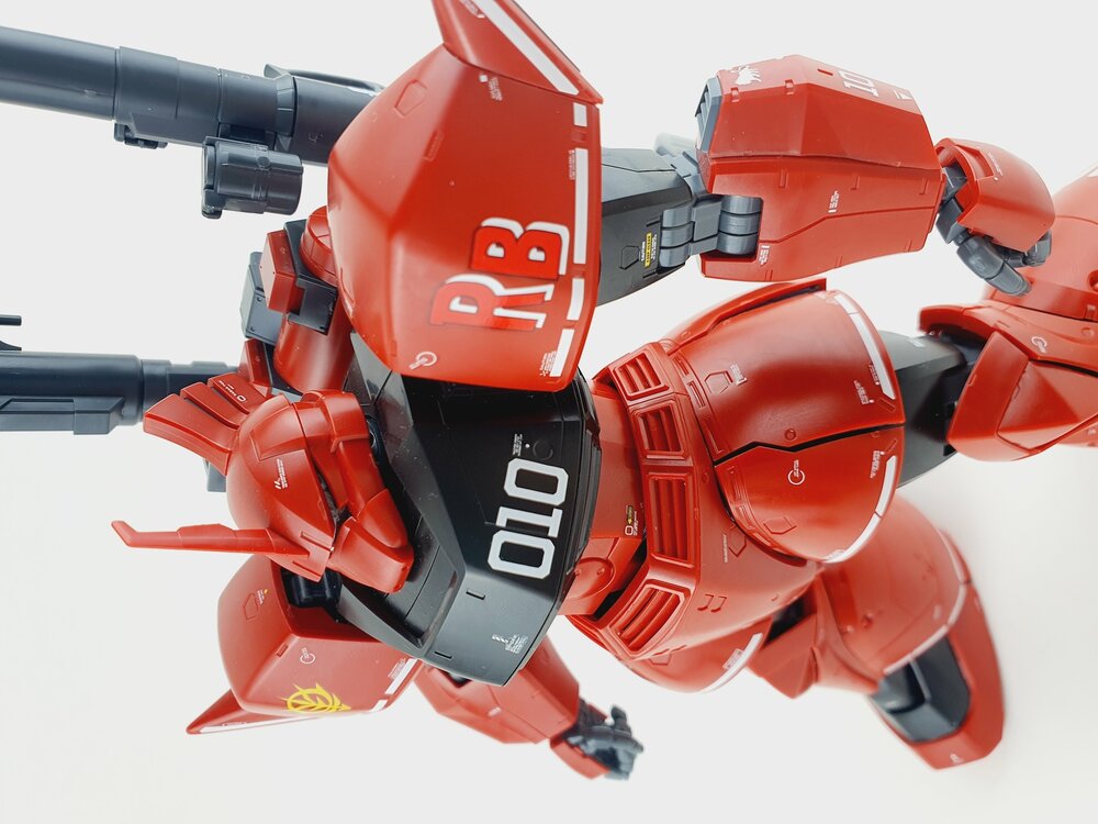 Delpi MG Gelgoog Custom