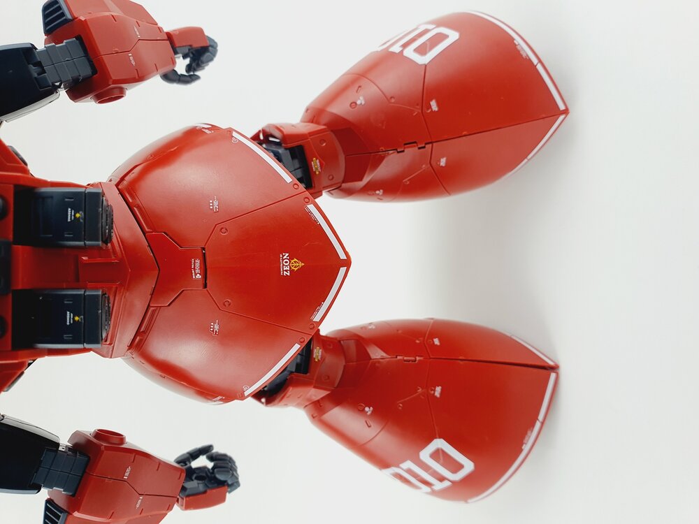Delpi MG Gelgoog Custom