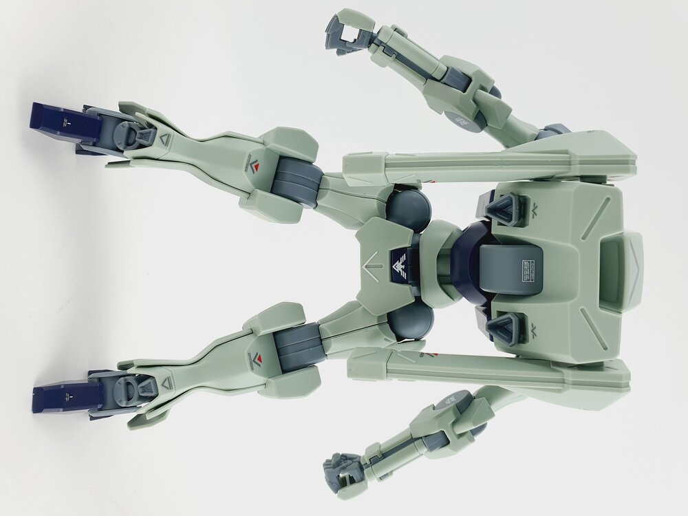 Delpi-Decal HG Zowort Heavy Normaal