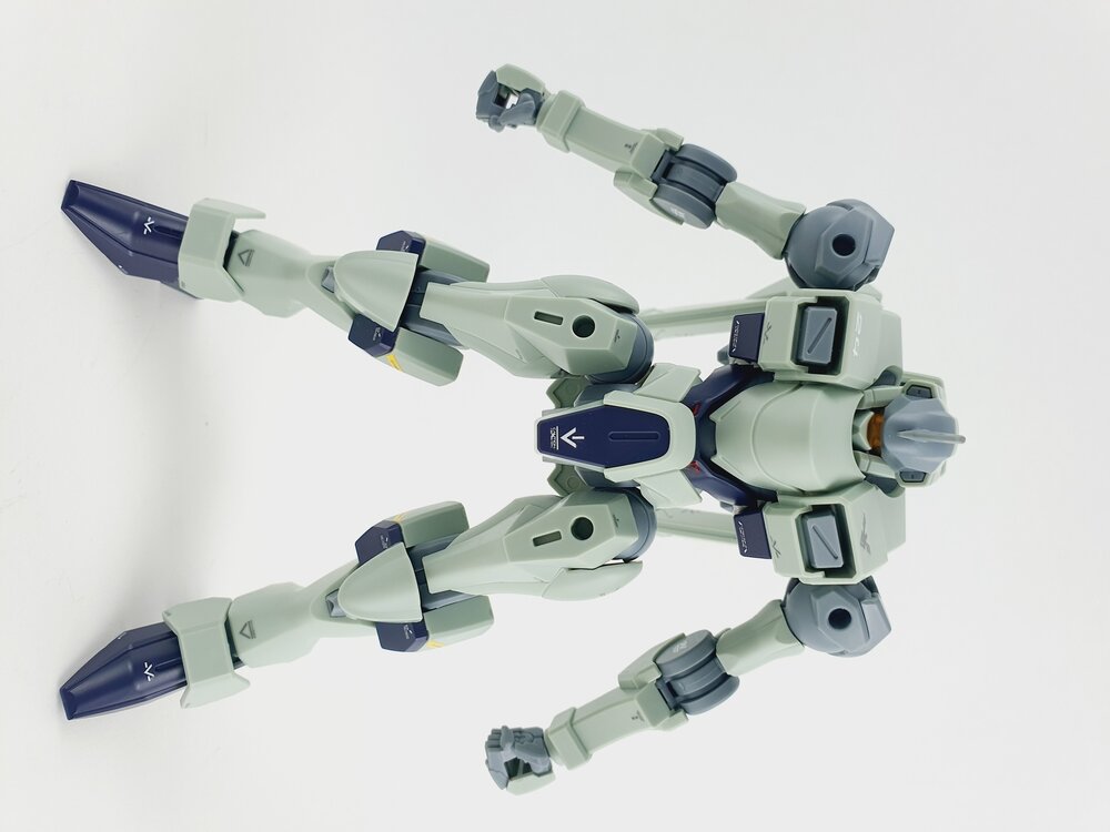 Delpi-Decal HG Zowort Heavy Normaal