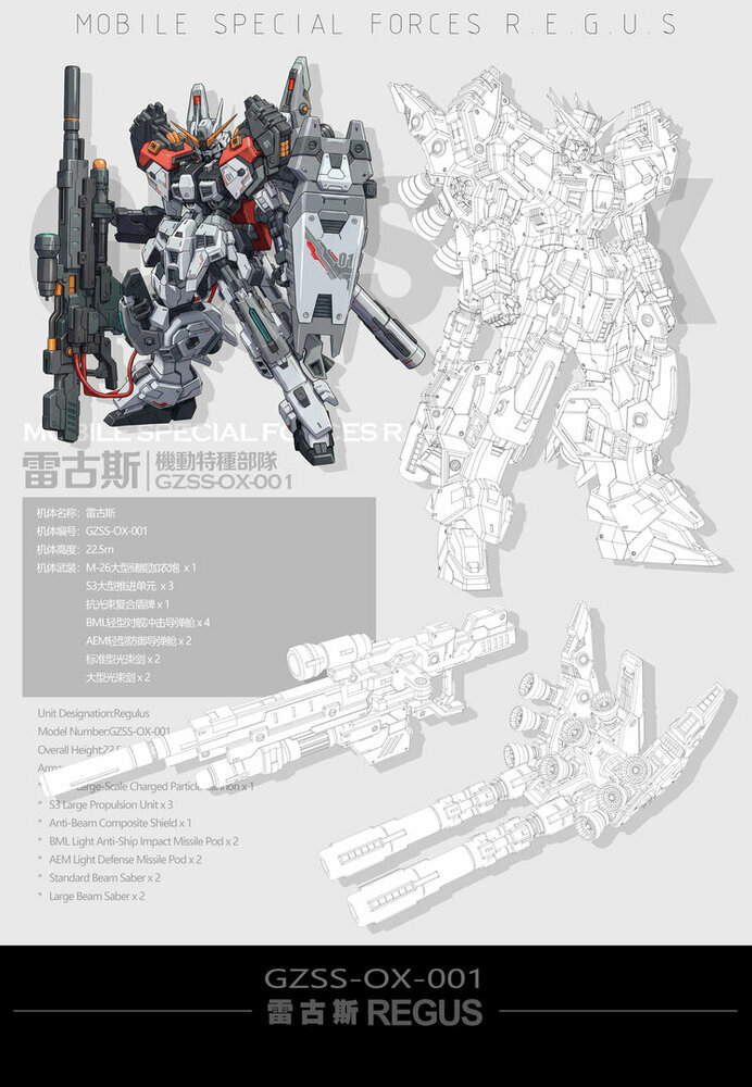 ZZA Model 1/100 GZSS-OX-001 REGUS