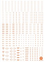Anchoret YJL General Decal DL-07 Oranje Limited