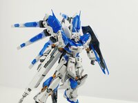 Delpi-Decal RG Hi NU