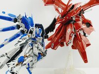 Delpi-Decal RG Hi NU