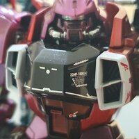 Delpi-Decal MG Zaku Warrior Lunamaria
