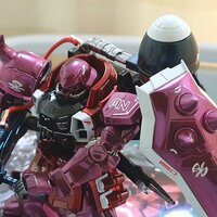 Delpi-Decal MG Zaku Warrior Lunamaria