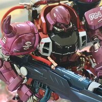 Delpi-Decal MG Zaku Warrior Lunamaria