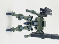 Delpi-Decal HG Zowort Heavy Normaal