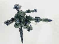 Delpi-Decal HG Zowort Heavy Normaal