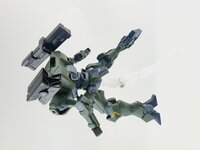 Delpi-Decal HG Zowort Heavy Normaal