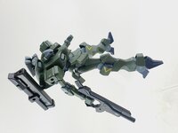 Delpi-Decal HG Zowort Heavy Normaal