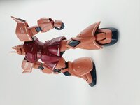 Delpi MG Gelgoog Custom