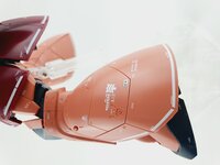 Delpi MG Gelgoog Custom