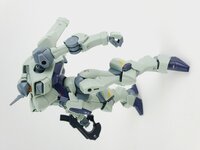 Delpi-Decal HG Zowort Heavy Normaal