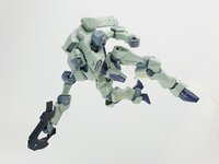 Delpi-Decal HG Zowort Heavy Normaal