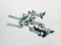 Delpi-Decal HG Zowort Heavy Normaal