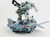 Delpi-Decal HG Zowort Heavy Normaal
