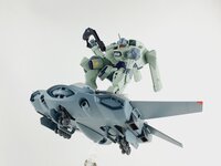 Delpi-Decal HG Zowort Heavy Normaal