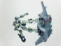 Delpi-Decal HG Zowort Heavy Normaal