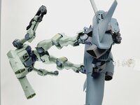 Delpi-Decal HG Zowort Heavy Normaal