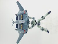 Delpi-Decal HG Zowort Heavy Normaal