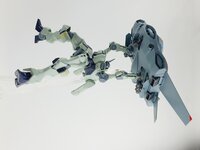 Delpi-Decal HG Zowort Heavy Normaal