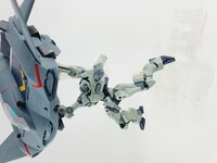 Delpi-Decal HG Zowort Heavy Normaal