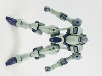 Delpi-Decal HG Zowort Heavy Normaal