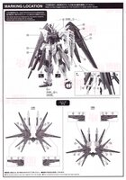 Flaming-Snow MG-125 Freedom Gundam China Limited Ver. Hot Stamp Decals