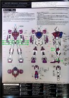 Flaming-Snow RG-49 Destiny Impulse Gundam Fluorescent Decals