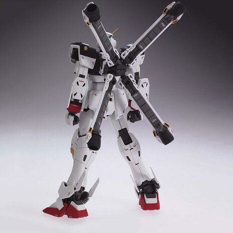1/100 MG XM-X1 Crossbone Gundam X-1 Ver.Ka